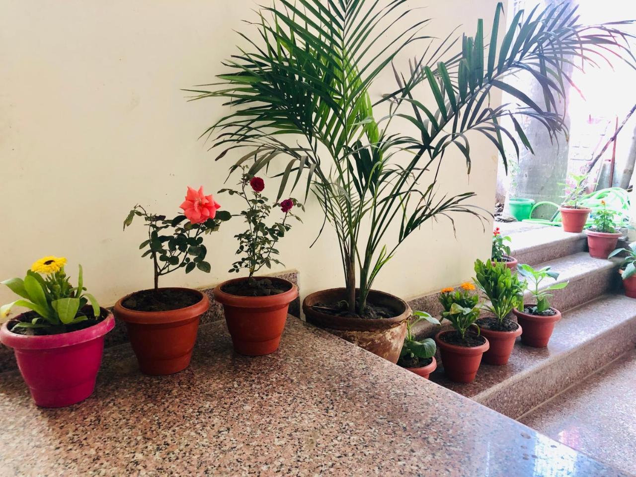 Gangotri Paying Guest House ורנאסי מראה חיצוני תמונה